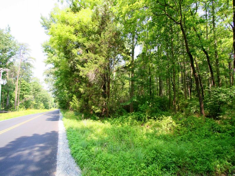 3.78 Acres for Great Homesite : Mineral : Louisa County : Virginia