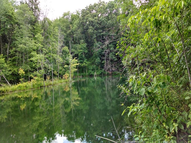 131 Acres with Ponds : Nelsonville : Athens County : Ohio