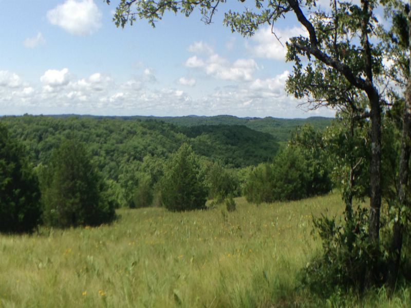 8 Acres W/ Trees & View, $500 Down : Mansfield : Wright County : Missouri