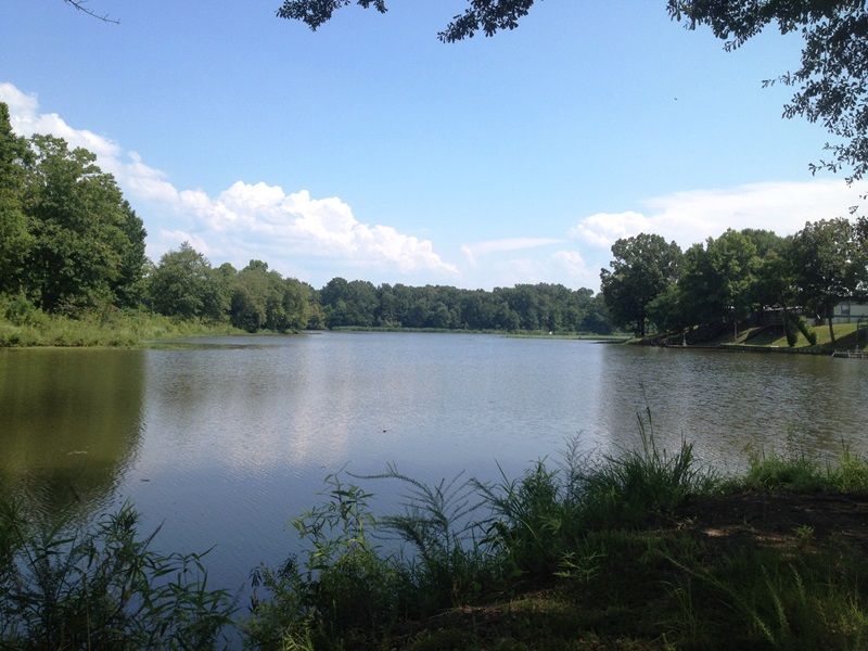 Tombigbee Riverfront Lot : Aliceville : Sumter County : Alabama