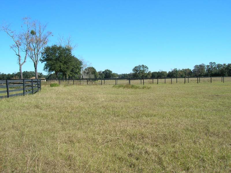 5 Acres in Equestrian Themed S/d : Trenton : Gilchrist County : Florida