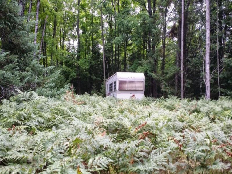 Hunting Property On Lake : Atlanta : Montmorency County : Michigan