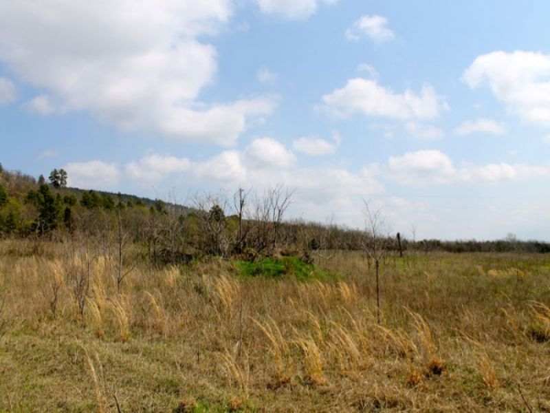 5.1 Acre Daisy Meadows : McAlester : Pittsburg County : Oklahoma