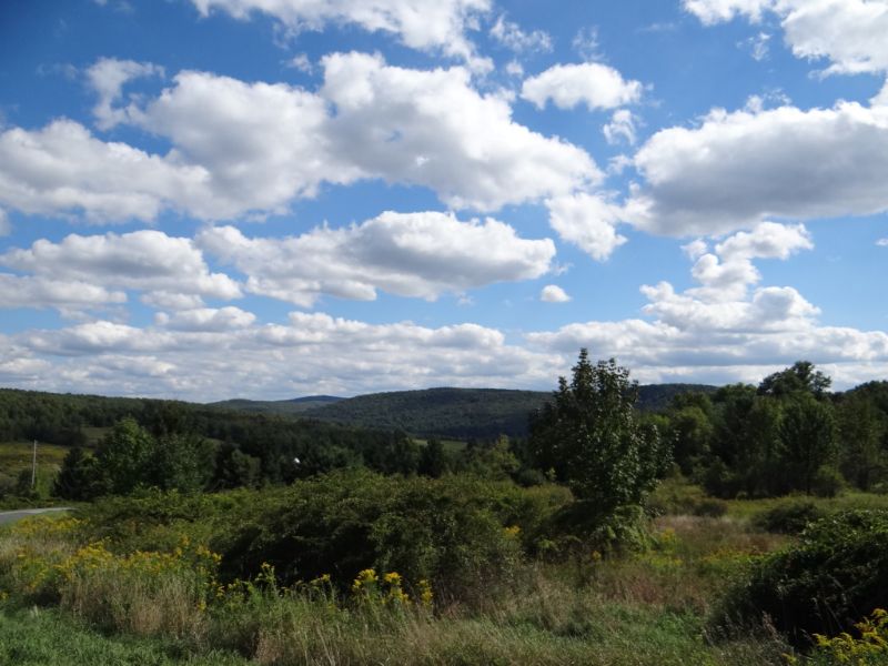 New York Land Catskill Mountains : Sidney Center : Delaware County : New York