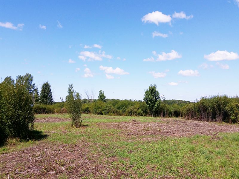 New York Land with Owner Financing : Richland : Oswego County : New York