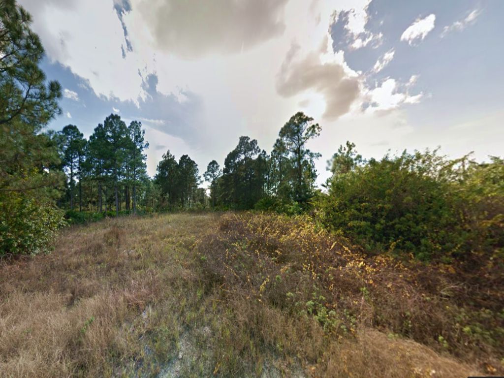 Vacant Residential Land for Sale : Lehigh Acres : Lee County : Florida