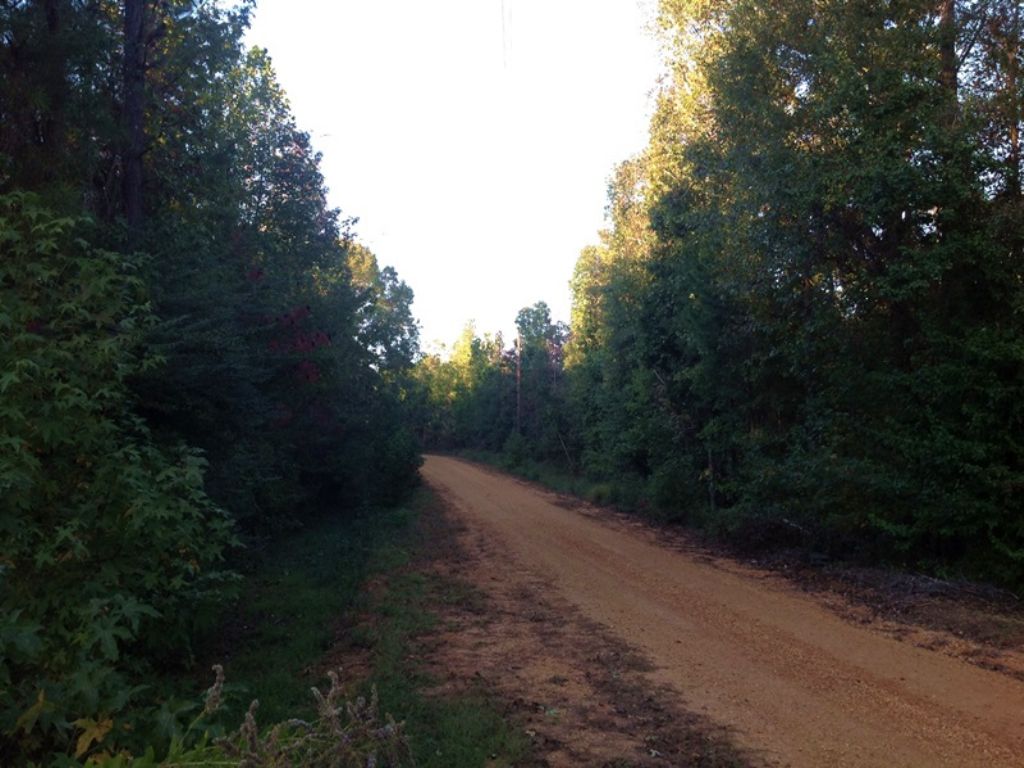 91 Acres Knox Tract : Marion : Perry County : Alabama