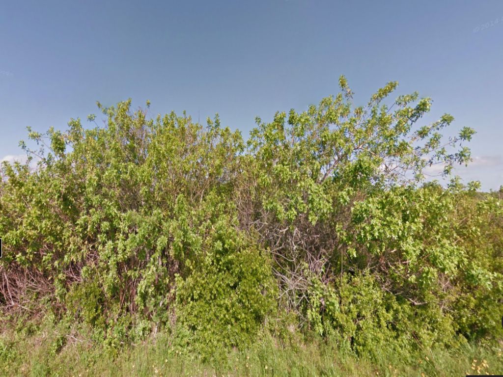 Residential Lot for Sale : Port Charlotte : Charlotte County : Florida
