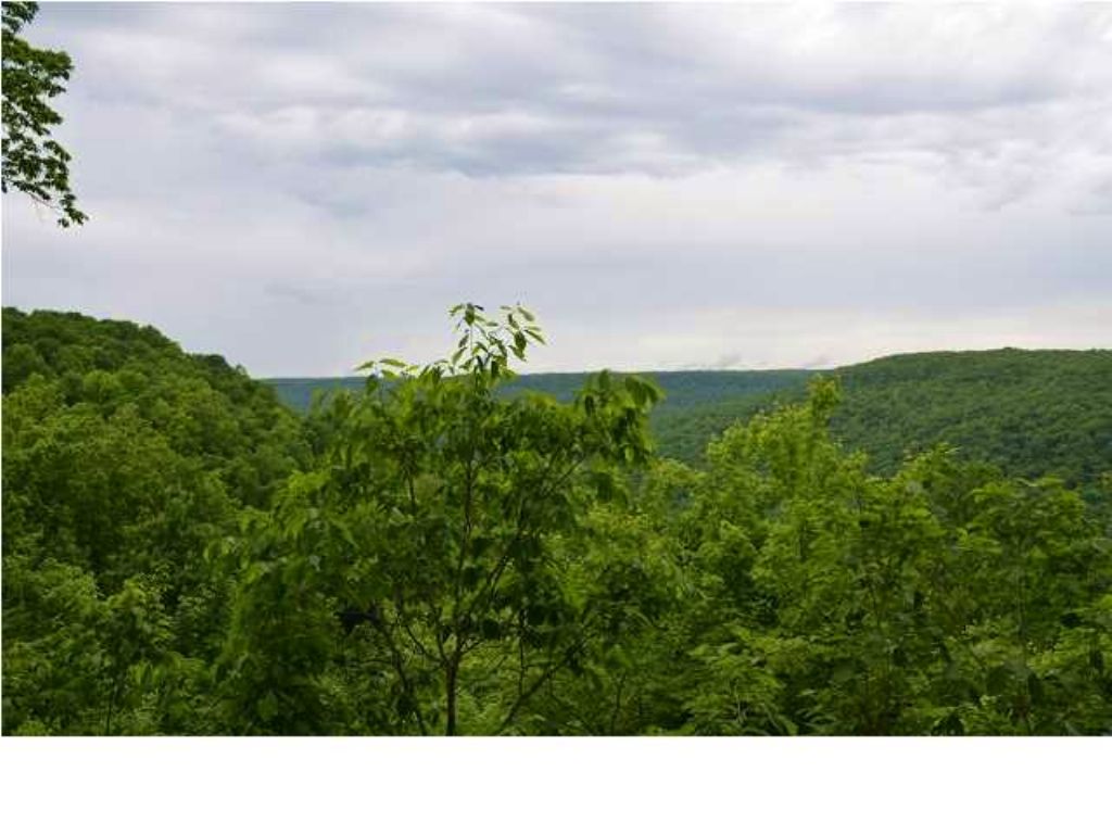 6 +/- Acres Beautful Bluff View : South Pittsburg : Marion County : Tennessee