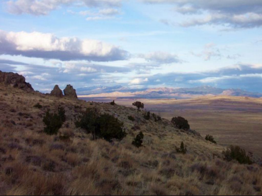 40 Acres Land for Sale : Park Valley : Box Elder County : Utah