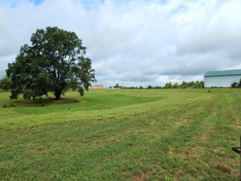 7 Acres Undeveloped Land : Terry : Hinds County : Mississippi