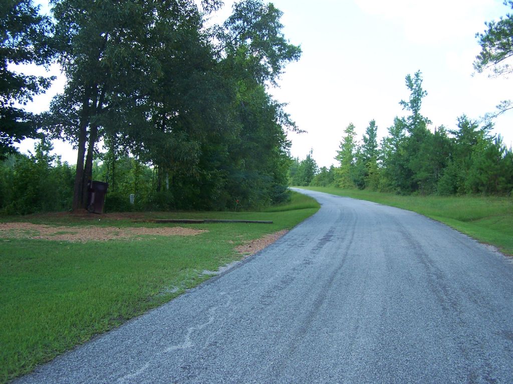5 Minutes From Walthall : Walthall : Webster County : Mississippi