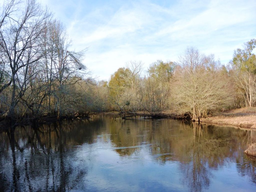 Recreational Homesite with River Ac : Kingstree : Williamsburg County : South Carolina