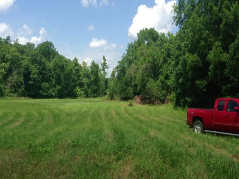 29 Ac W/ Live Spring for $500 Down : Climax Springs : Camden County : Missouri