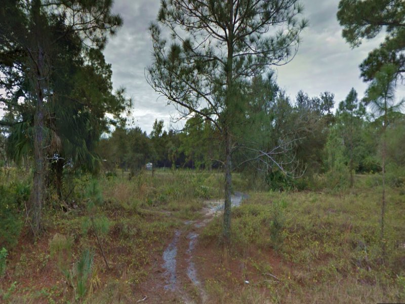 Fresh Water Canal Lot for Sale : Lehigh Acres : Lee County : Florida