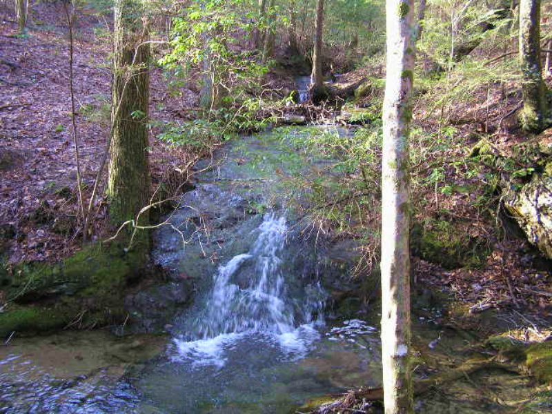 Waterfalls, Creek, Woods, Views : Dunlap : Sequatchie County : Tennessee