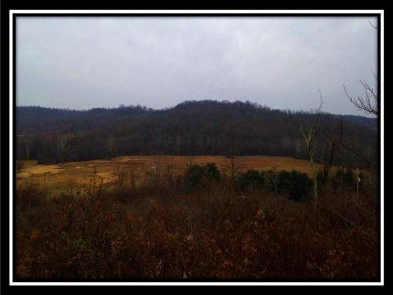 Hunters View Great Hunting Property : Rutland : Meigs County : Ohio