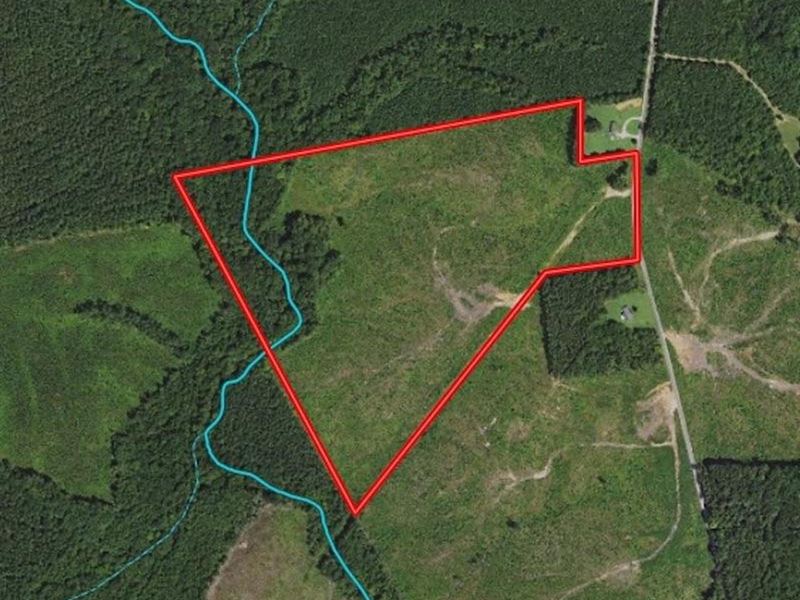 56 Acres of Recre : Kenbridge : Lunenburg County : Virginia
