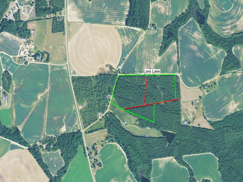 41 Acres Will Divide : Millen : Jenkins County : Georgia