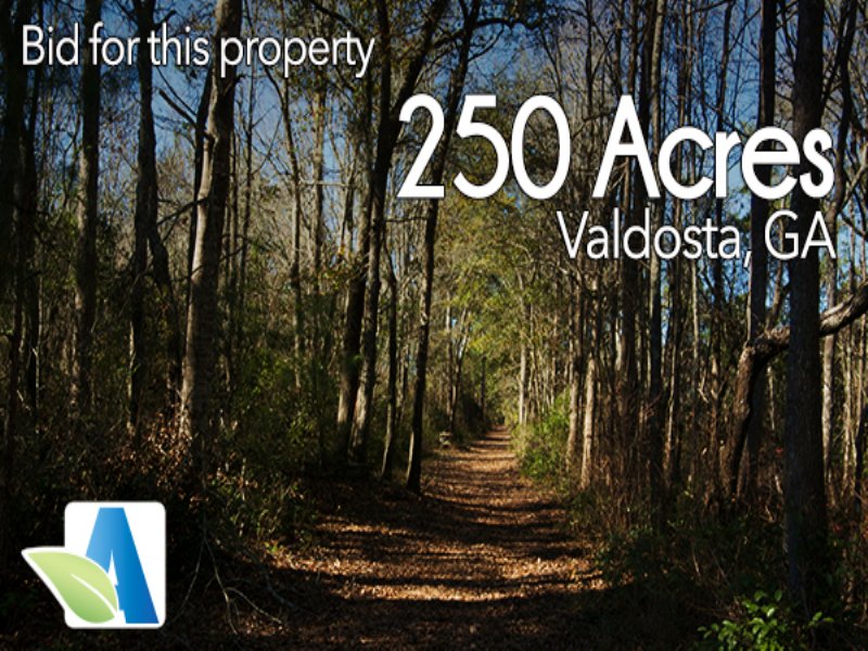 250 Ac Hunting Property, Big Bucks : Valdosta : Lowndes County : Georgia