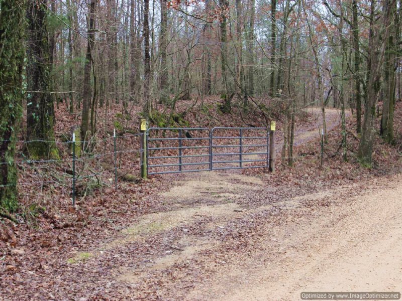 259 Ac Rec/timber Tract : Yazoo City : Yazoo County : Mississippi