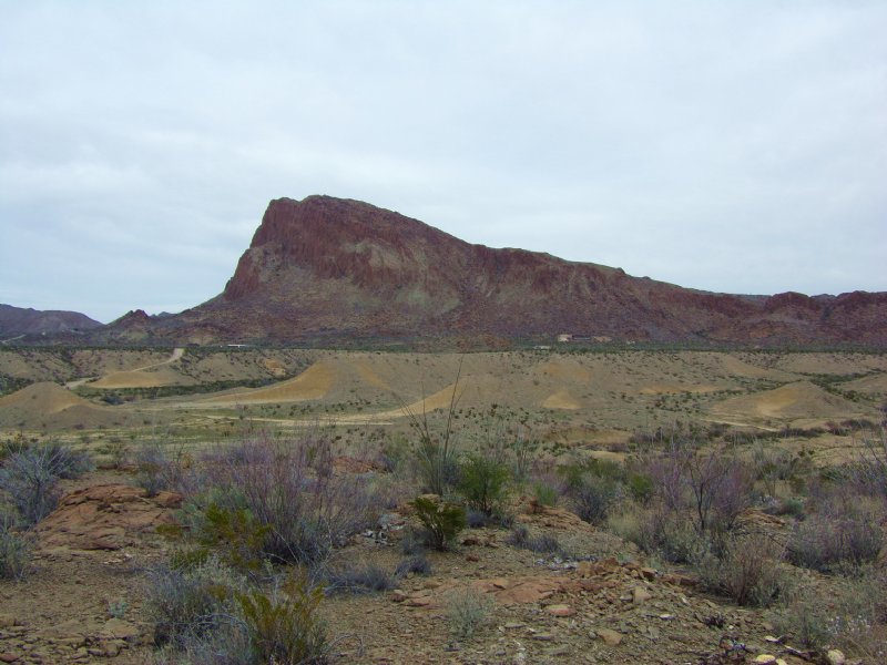 40 Acres, Great Mountain Views : Study Butte : Brewster County : Texas