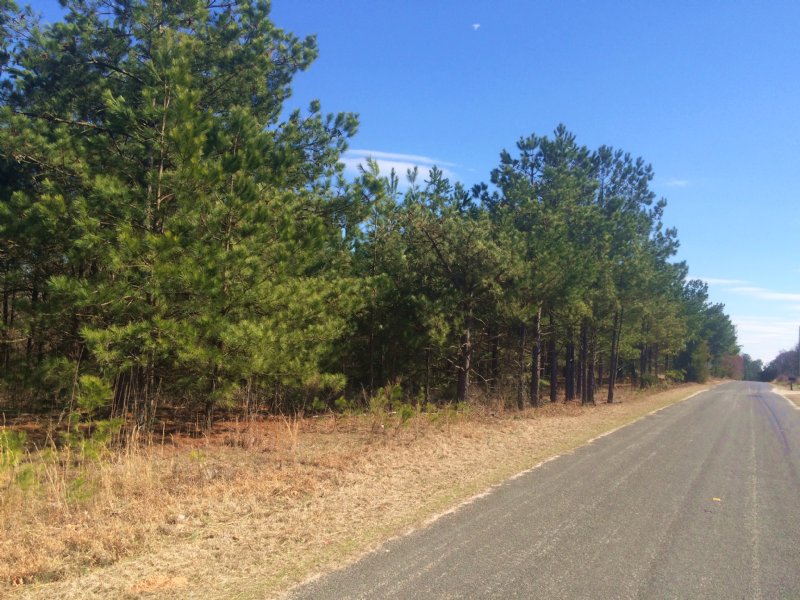 Old Oak Tree Road Tract : Waterloo : Laurens County : South Carolina