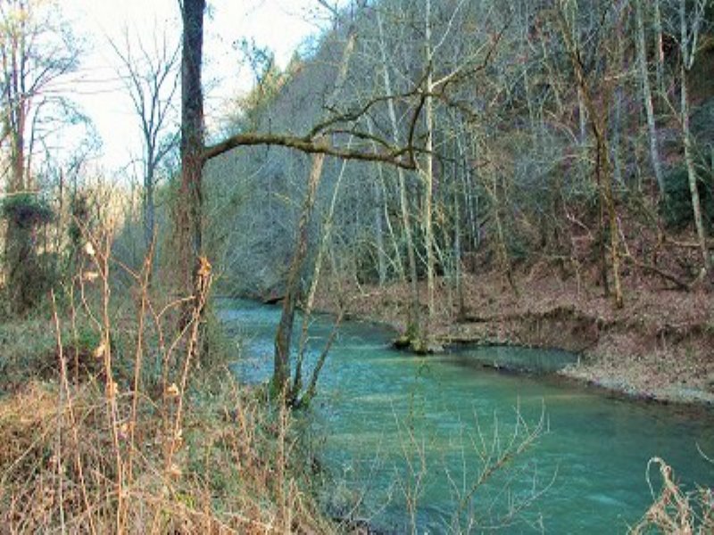 Dunn Creek Homesite : Sevierville : Sevier County : Tennessee