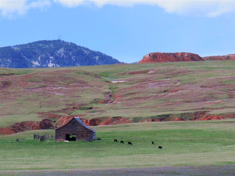Swenson Ranch : Sundance : Crook County : Wyoming