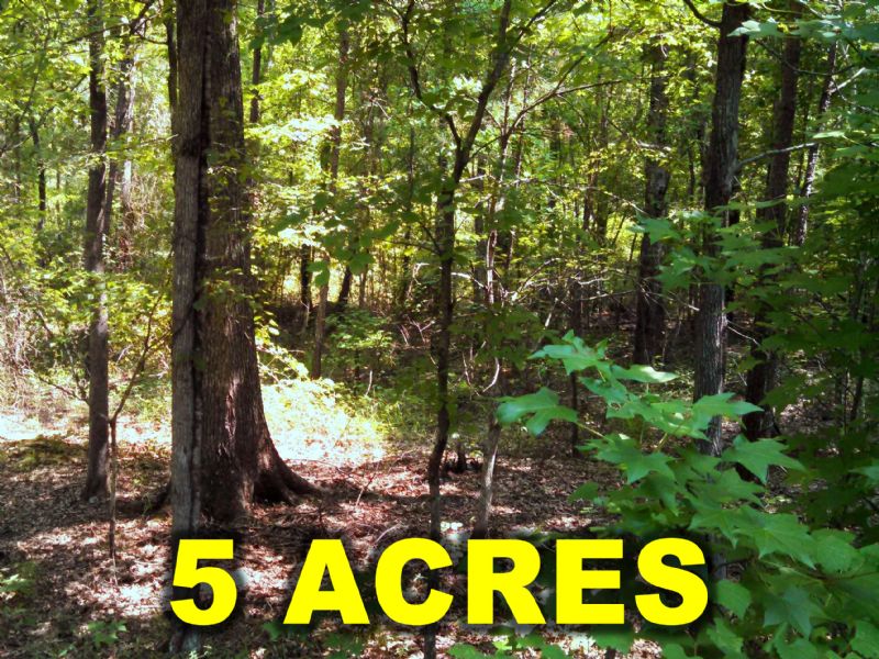 5 Acres, Owner Financing, $495 Down : White Plains : Hancock County : Georgia