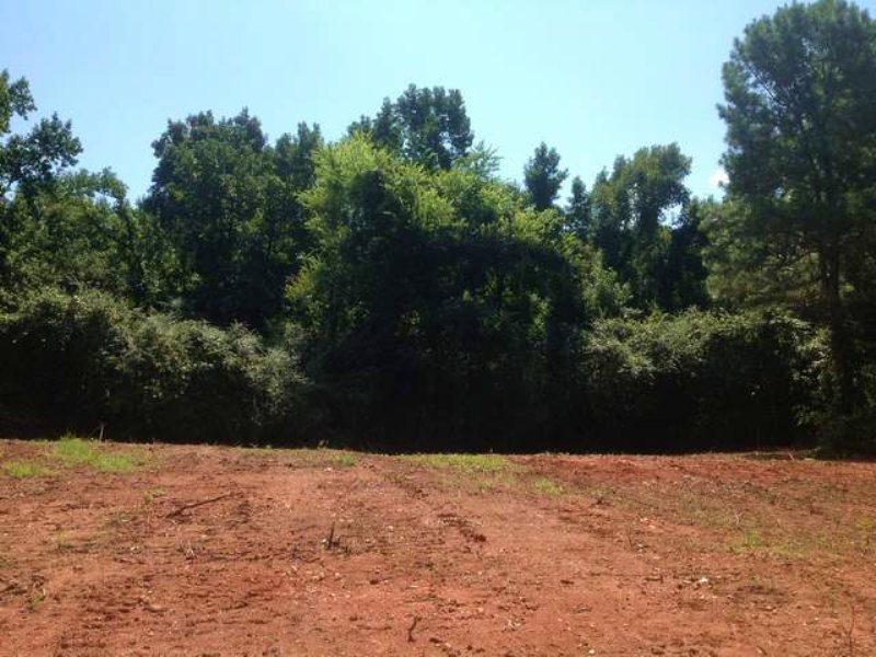 64.61+/- Acres Mature Hardwoods : Goodwater : Coosa County : Alabama