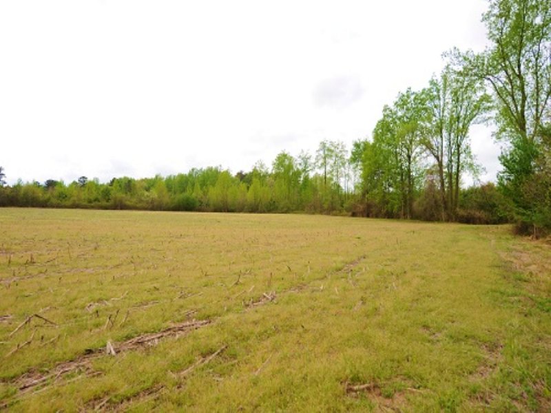 Agricultural Homesite with Creek : Kenansville : Duplin County : North Carolina