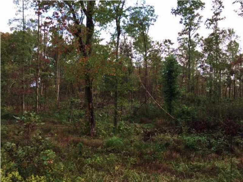 5.5+/- Acres Wooded Lot : Sequatchie : Marion County : Tennessee