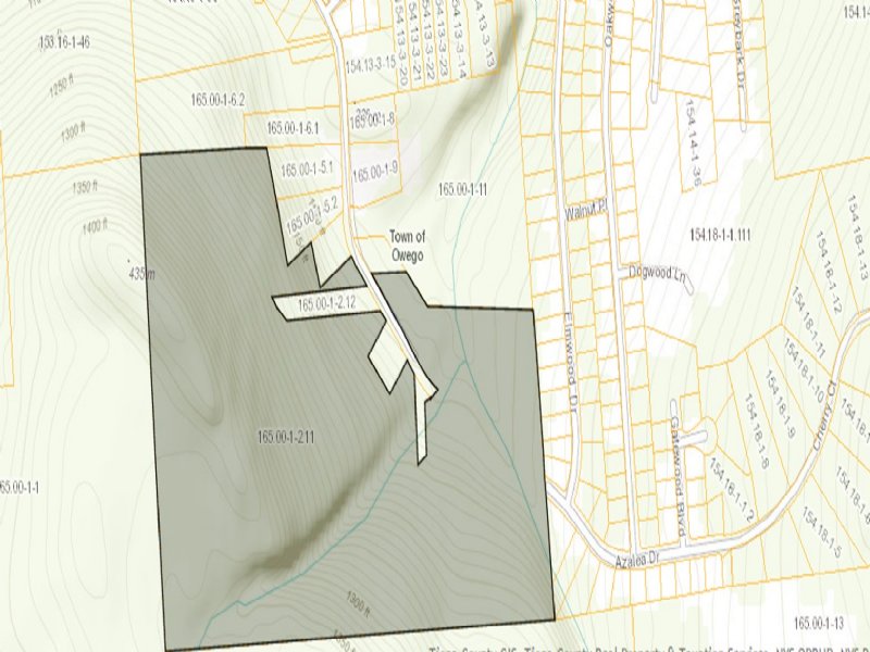 88 Acres, Dead End, Development Opp : Apalachin : Tioga County : New York