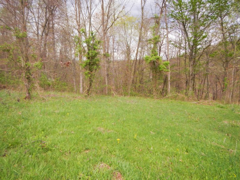 20 Acres Meadow and Woods : Oak Hill : Jackson County : Ohio
