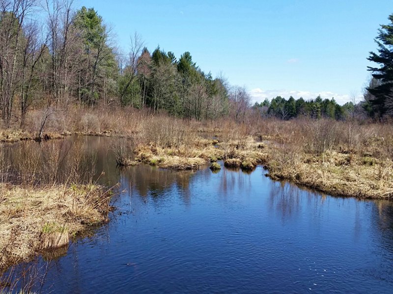 River Front Land 19 Acres : Amboy : Oswego County : New York
