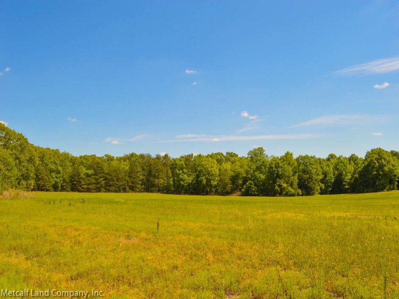 Pristine Farm 132 Acres Near I-26 : Enoree : Spartanburg County : South Carolina