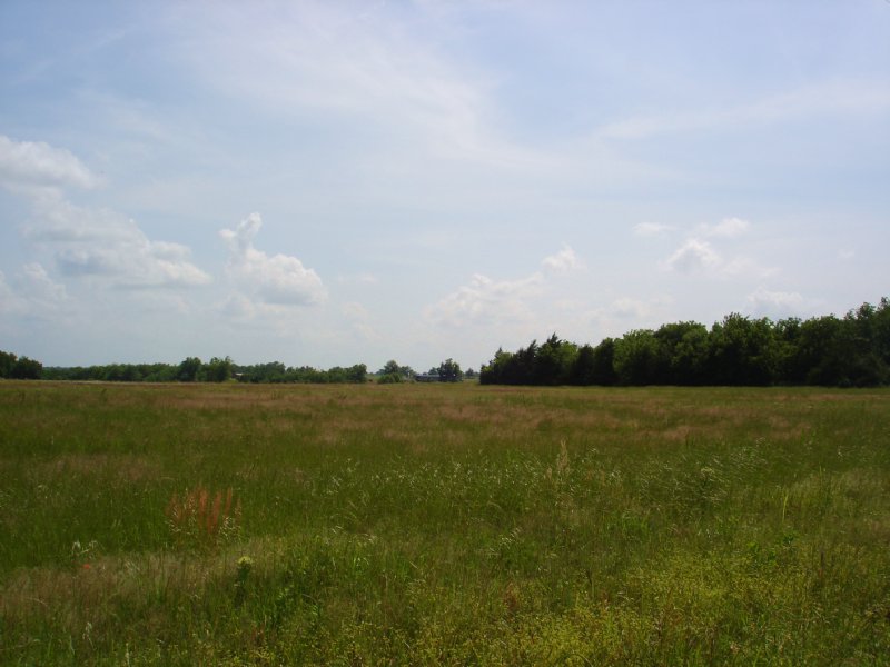 6 Small Counrty Acres : Sumner : Lamar County : Texas
