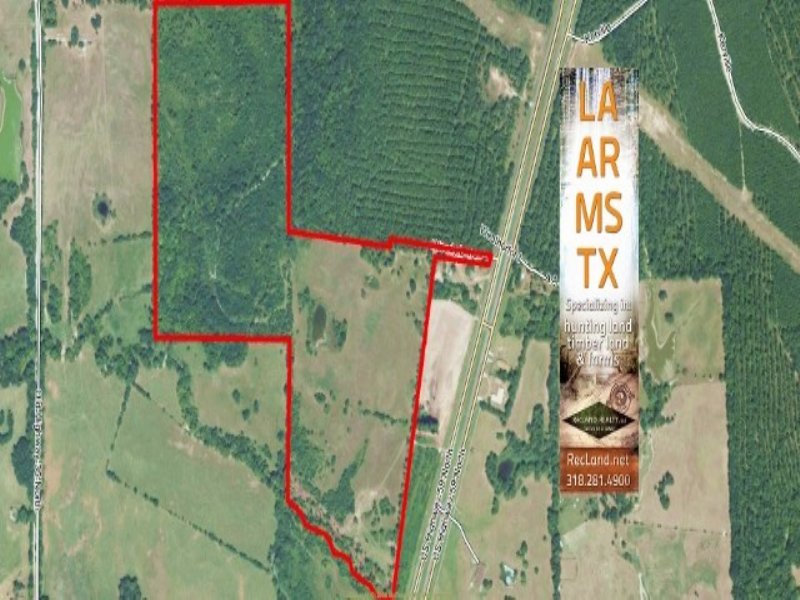 73.7 Acres Hunting Land, Ranch : Livingston : Polk County : Texas