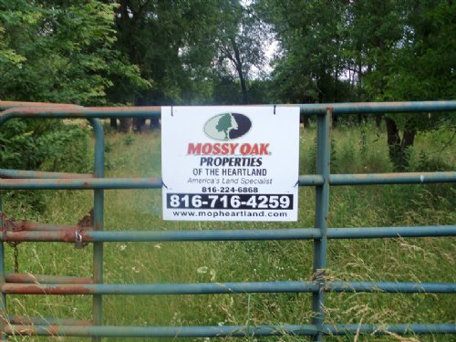 120 Acres Of Agriculture Land : Humansville : Cedar County : Missouri