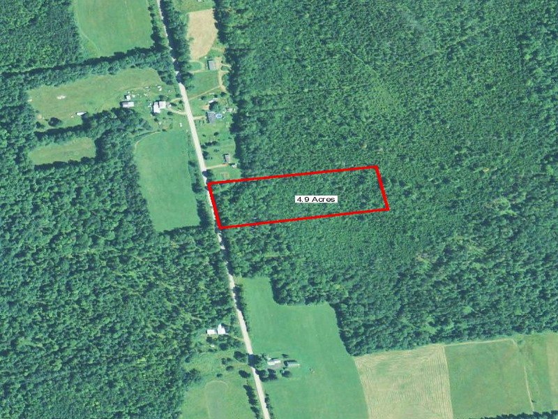 Nice Building Lot in The Country : Pittsfield : Somerset County : Maine