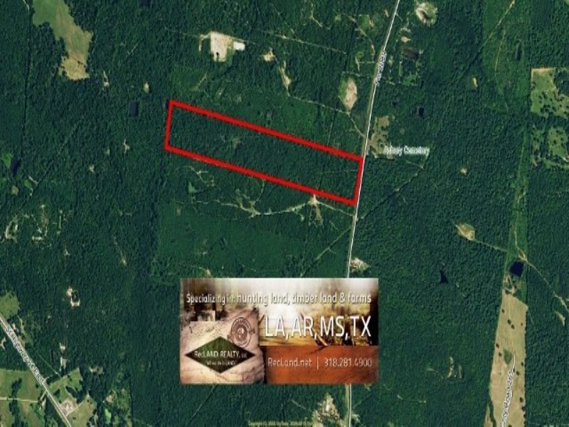 58.50 Acres Hunting Land, Timber : Henderson : Smith County : Texas