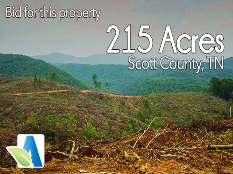 215 Ac Rural Acreage, Hunting, Atv : Huntsville : Scott County : Tennessee