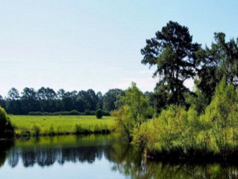 3.85 Acres Fishing Land, Pasture : Summit : Pike County : Mississippi