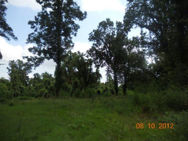106 Acres Waterfront Land, Fishing : Woodville : Wilkinson County : Mississippi