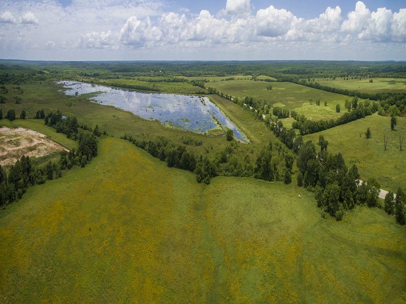 2,304 Acres Spellbottom Ranch : Huntsville : Walker County : Texas