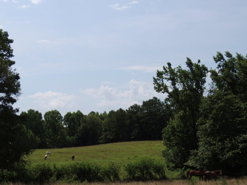 121.938 Ac On Rocky Mount Road : Luthersville : Meriwether County : Georgia