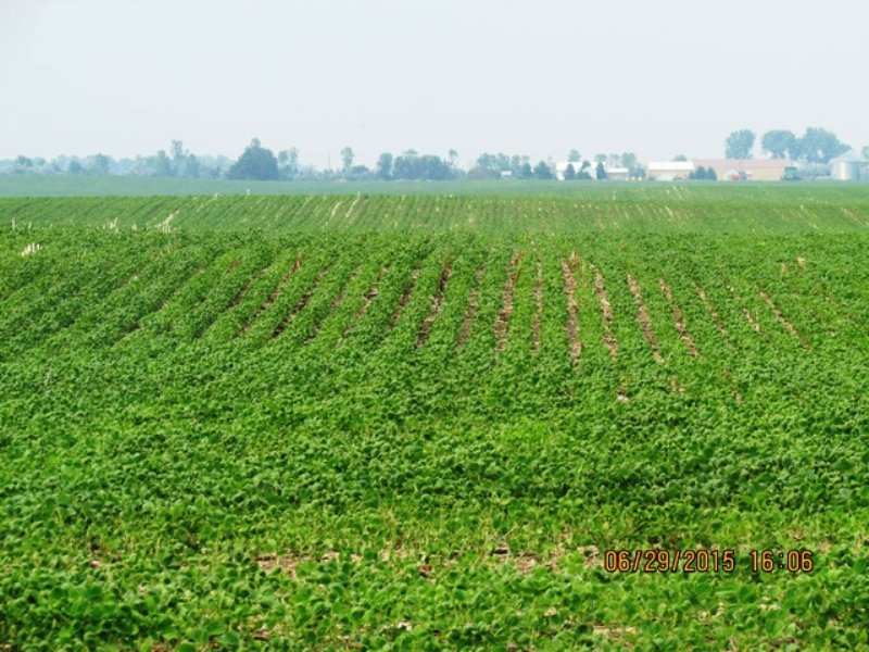 Row Crop Land for Sale : Miller : Hand County : South Dakota