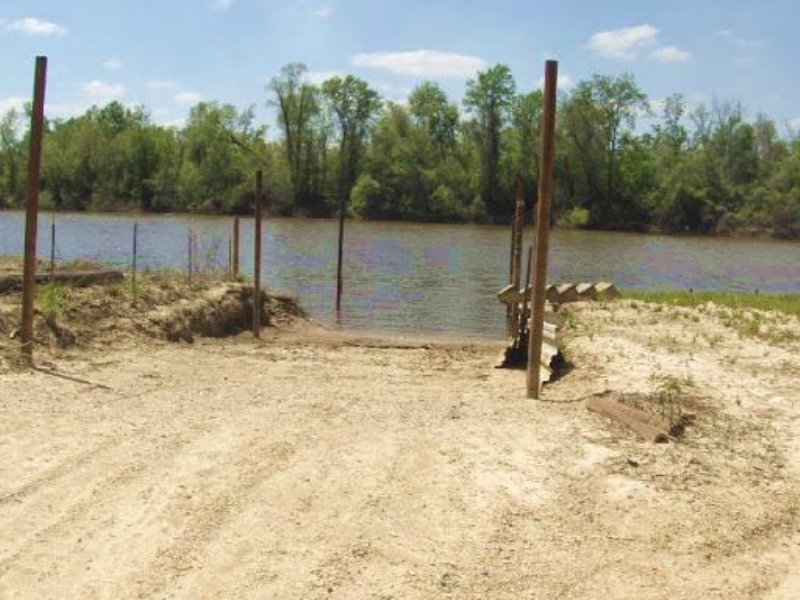 16 Acres Timber Land, Waterfront : Columbia : Marion County : Mississippi