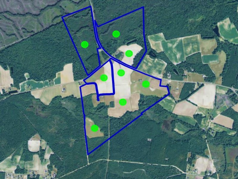Mt. Olive Community Farms : Garden City : Horry County : South Carolina